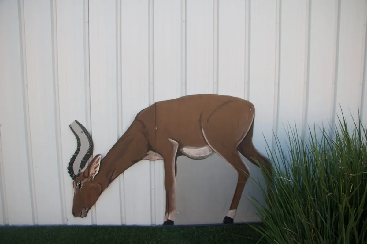 Deer3