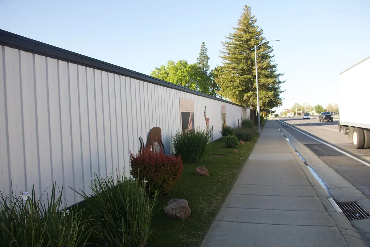 wall